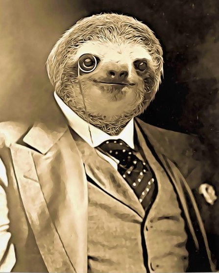 gentleman-sloth-with-monocle1591575-posters.jpg